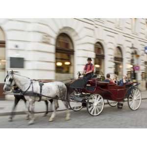 Horse Drawn Tourist Carriage Near Hofburg, Vienna, Austria 