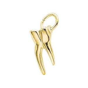  Rembrandt Charms Tooth Charm, Gold Plated Silver Jewelry