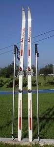 Cross Country 65 Skis 3 pin 170 cm +Poles TECNO PRO  