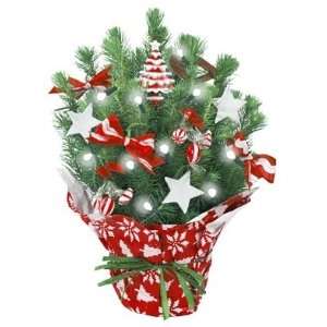  Live Tabletop Christmas Tree with Christmas Decorations 