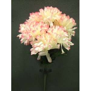   #20654 Cream Pink Chrysanthemum Mum Silk Flower Bush with 6 Blooms