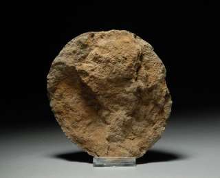 rare and fascinating Prehistoric Fossil   A Fossilized Dinosaur Egg 