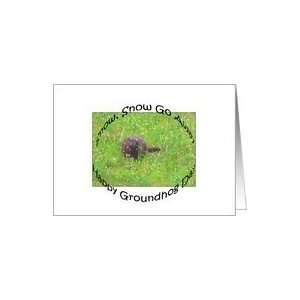  Groundhog Day, Groundhog Eating Spring Grasses in Snow Card 