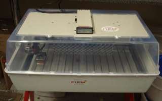 Chicktec Covina 24 Egg incubator for hatching eggs  