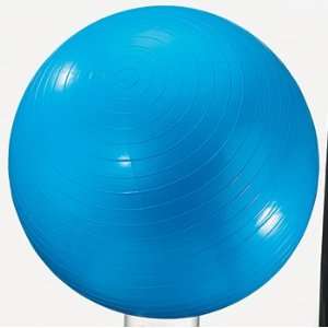  Exercise Ball 24In Blue Toys & Games