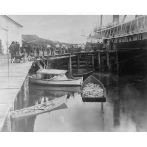  1899 photo The expedition vessel, George W. Elder, at dock 