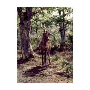  Rosa Bonheur   Stag On Alert, In Wooded Clearing Giclee 