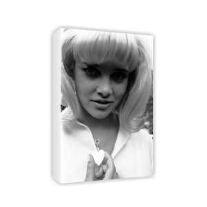 Sue Lyon   Canvas   Medium   30x45cm