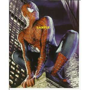 Spider man Spiderman Tobey Maguire in Uniform Squatting on 