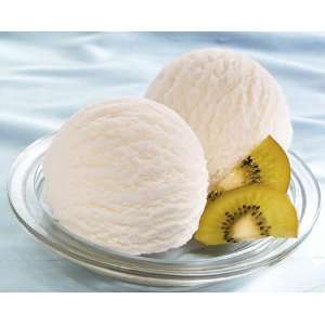 Light Vanilla Ice Cream Grocery & Gourmet Food
