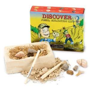  Fossil Excavation Kit Toys & Games
