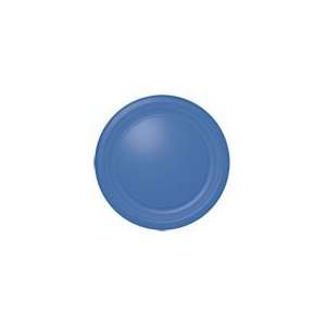  Blue Theme Party 10.5 Disposable Paper Plates