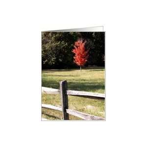  Happy Fall Tree with Red Autumn Leaves Card Health 