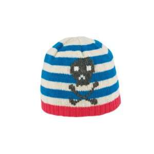   Skull Crossbones Blue Striped Hat Winter Cold Cap 