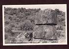 vintage rppc petrified tree near cedarville alturas ca modoc county