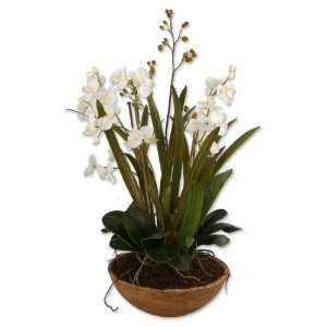 Uttermost 33.5 Inch Moth Orchid Planter Beautiful Artifical Year 