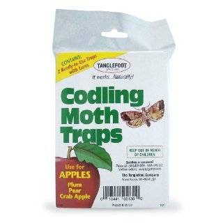 Tanglefoot 300000658 Codling Moth Trap