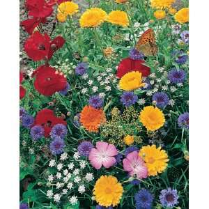   plant and grow. Instant garden mat for flowering bushes. Patio, Lawn