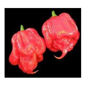   Pepper Seeds 10 Hotter Than Bhut Jolokia Ghost Pepper Seeds Handle