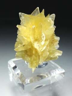 Yellow Star Muscovite Crystal Cluster #14  
