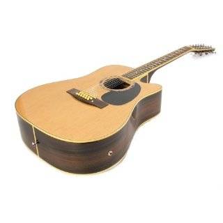 NEW ACOUSTIC / ELECTRIC 12 STRING GUITAR PRO MODEL