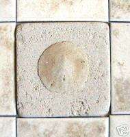 Stone Resin Sea Shell Decos Backsplash Tile SandDollar  