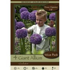  Allium Gladiator Bulbs 4pk Patio, Lawn & Garden