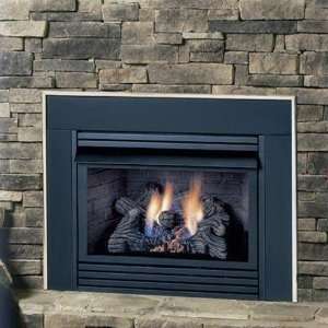    Monessen Dis Natural Gas Vent Free Fireplace Insert