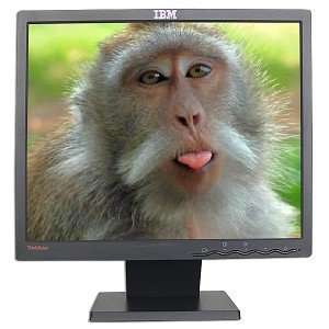  17 IBM ThinkVision L171 LCD Monitor (Black) Electronics