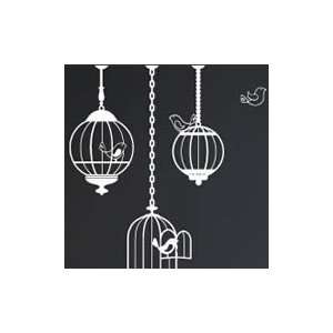  Cutie birds cages wall stickers  modern wall stickers 