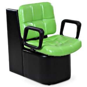  Hayworth Neon Green Dryer Chair Beauty